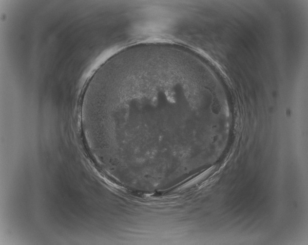 X0000067501367200604101220