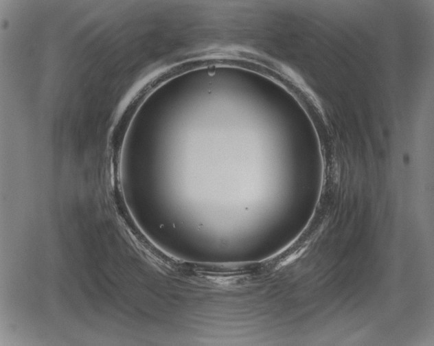 X0000067501368200604101220