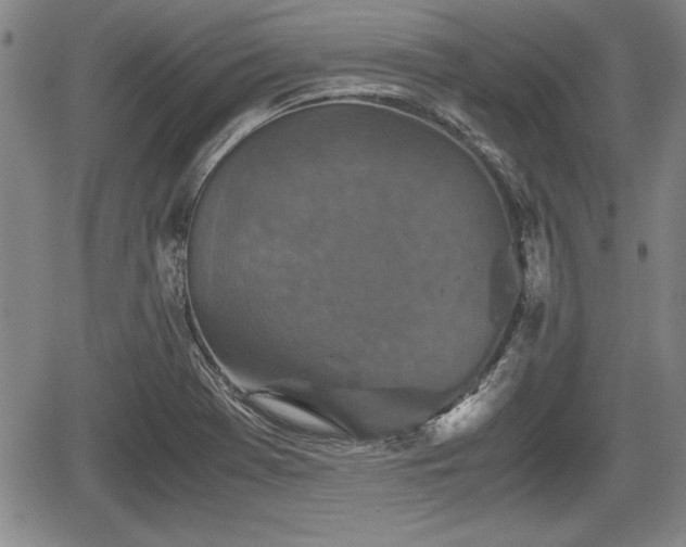 X0000067501369200604101220