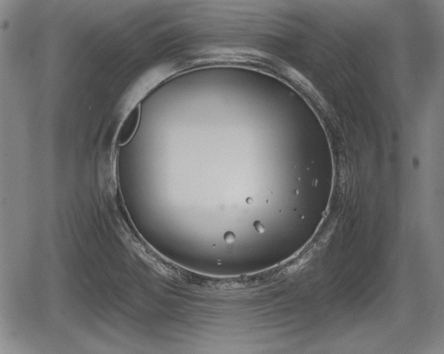 X0000067501370200604101220