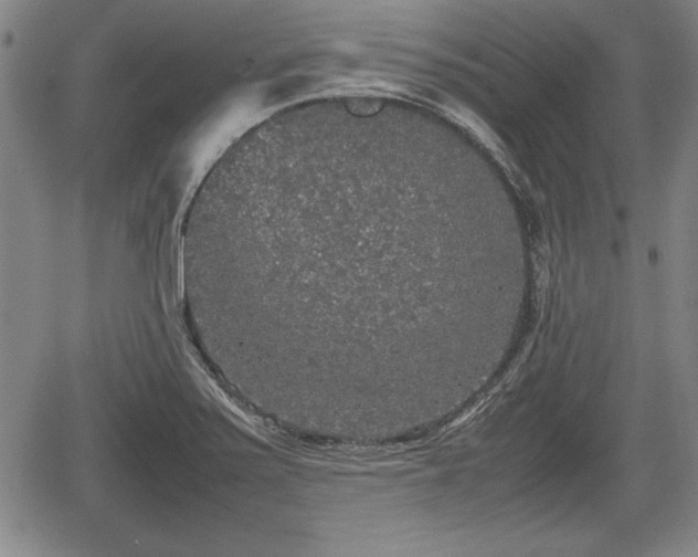 X0000067501371200604101220