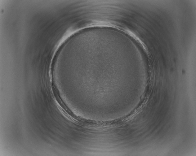 X0000067501372200604101220