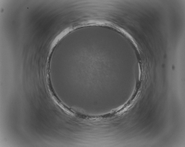 X0000067501373200604101220