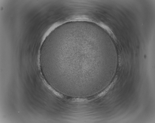 X0000067501374200604101220