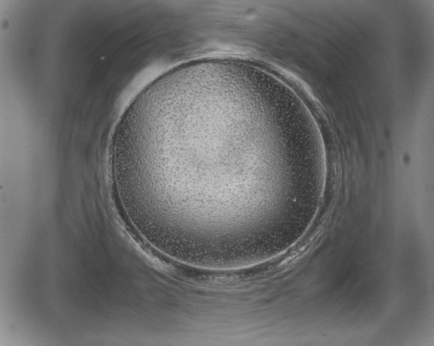 X0000067501375200604101220