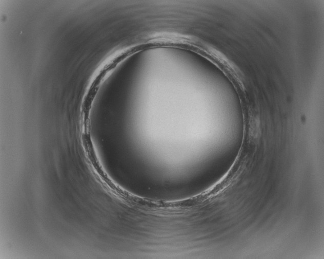 X0000067501376200604101220