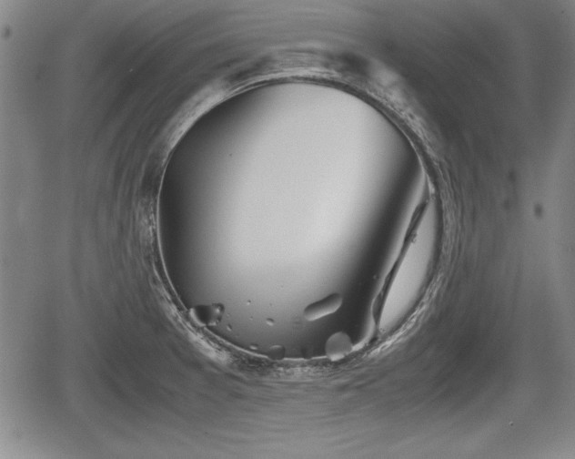 X0000067501377200604101220