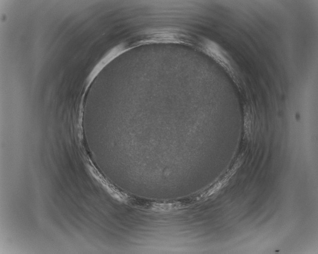 X0000067501378200604101220