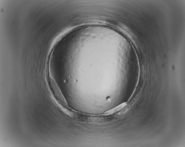 X0000067501379200604101220