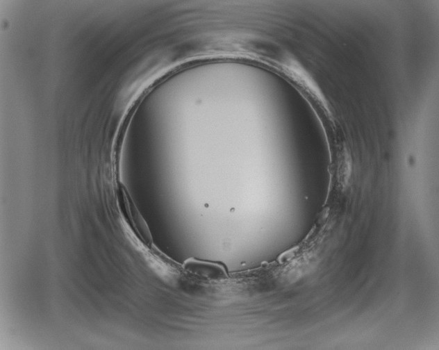 X0000067501380200604101220