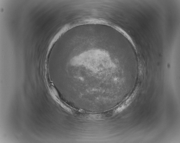 X0000067501381200604101220