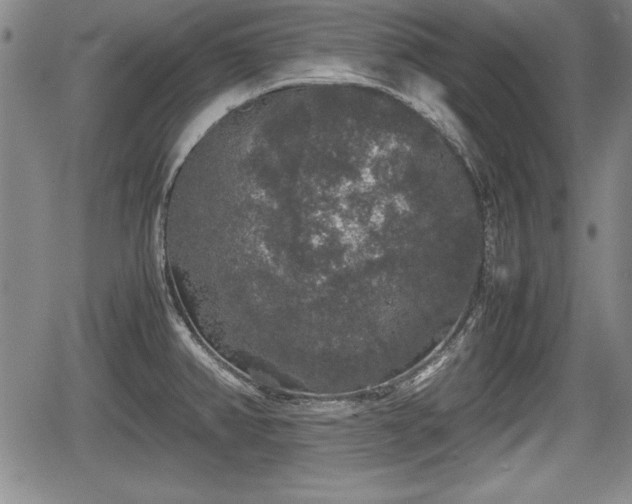 X0000067501382200604101220