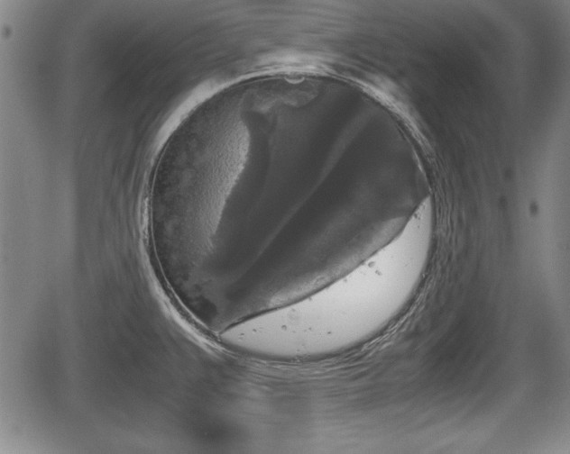 X0000067501383200604101219