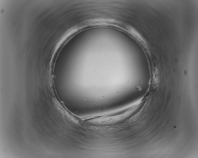 X0000067501384200604101219