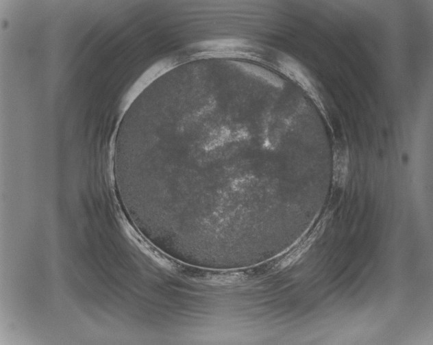 X0000067501386200604101219