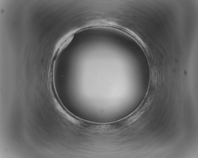 X0000067501387200604101219