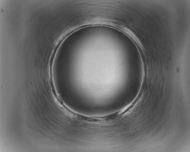 X0000067501388200604101219