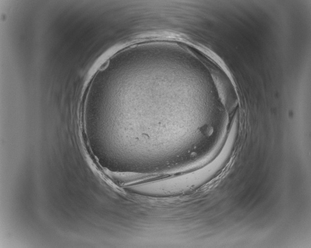 X0000067501389200604101219