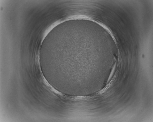 X0000067501390200604101219