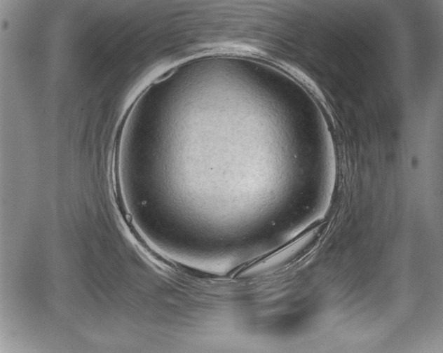 X0000067501391200604101219