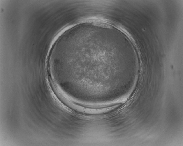 X0000067501392200604101219