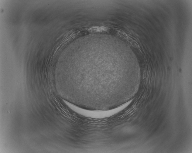 X0000067501393200604101219