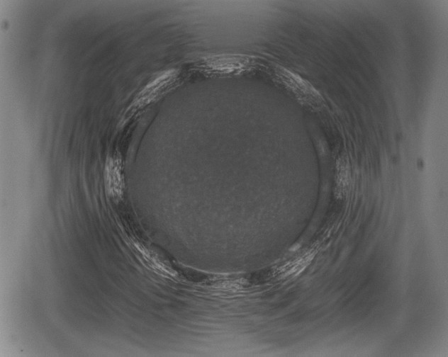 X0000067501394200604101219