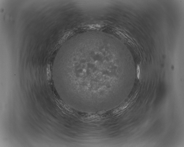 X0000067501395200604101219