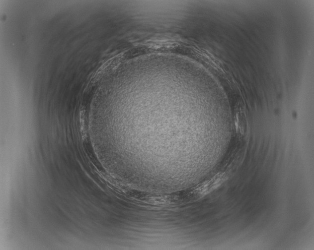 X0000067501396200604101219