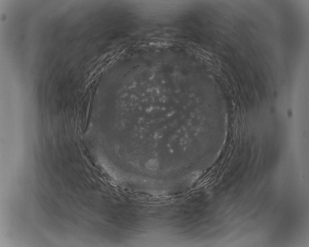 X0000067501397200604101219