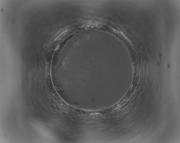 X0000067501399200604101219