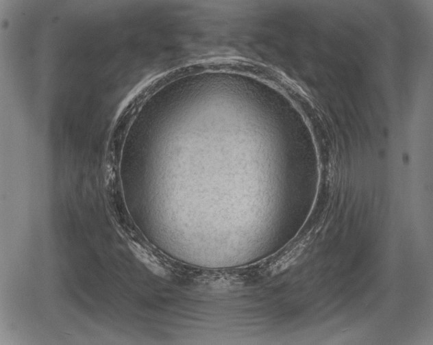 X0000067501400200604101219