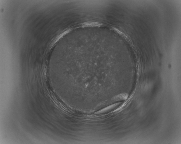 X0000067501401200604101219