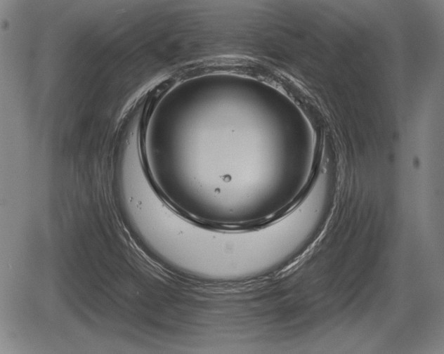 X0000067501402200604101219