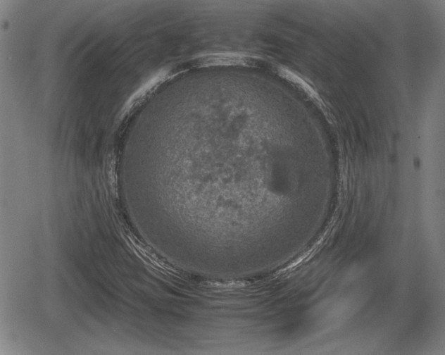 X0000067501403200604101219