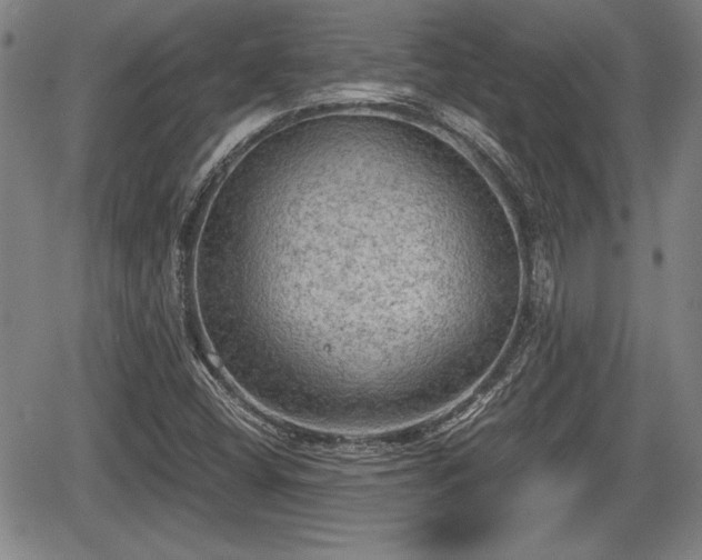 X0000067501404200604101219