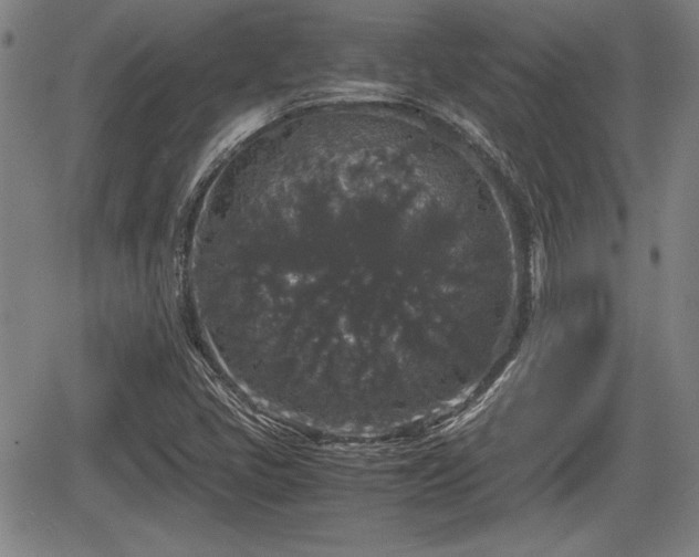 X0000067501405200604101219