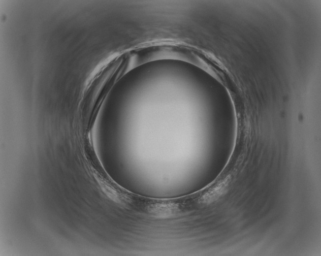 X0000067501406200604101219