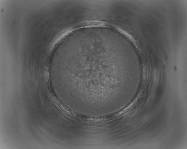 X0000067501407200604101219