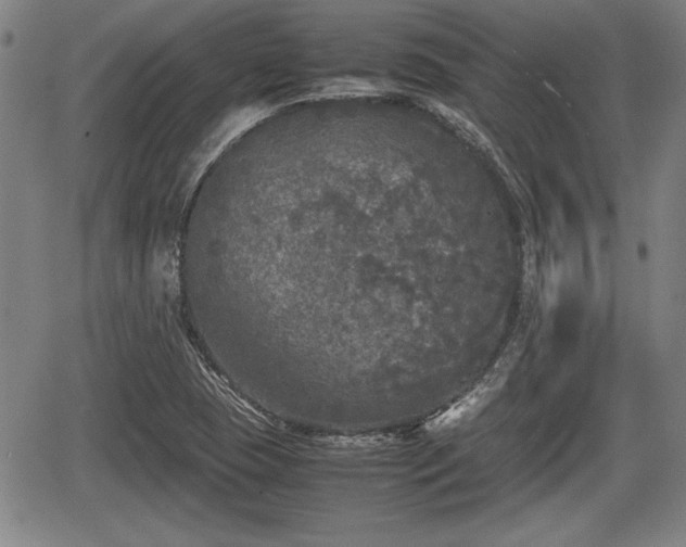 X0000067501409200604101219