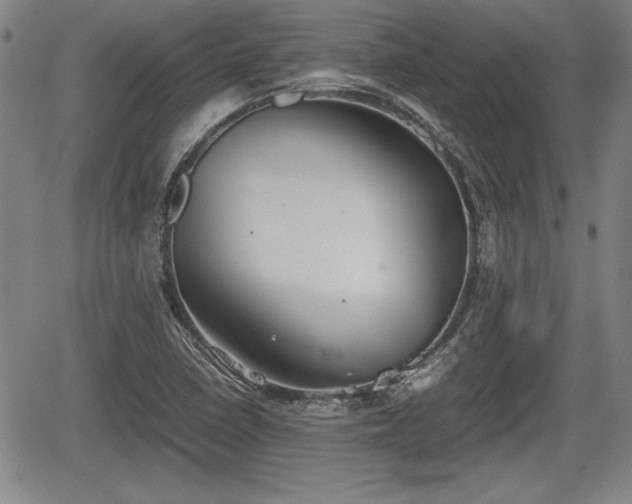 X0000067501410200604101219