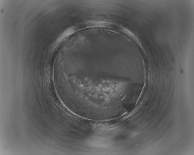 X0000067501411200604101219