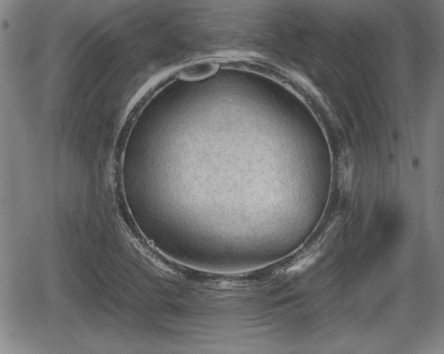 X0000067501412200604101219