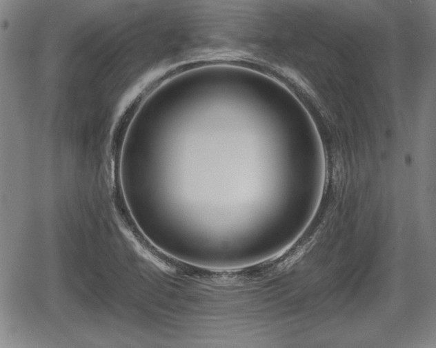 X0000067501414200604101219