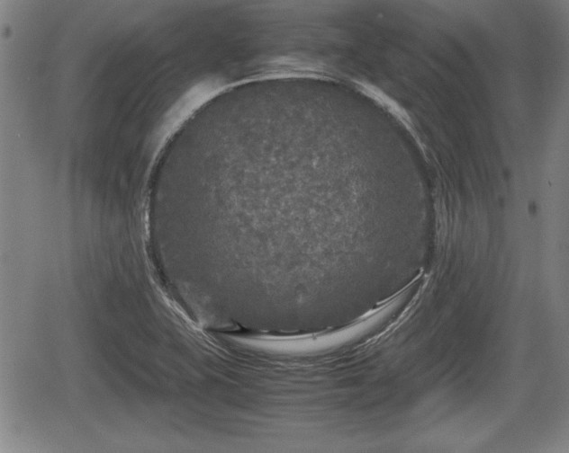 X0000067501415200604101219