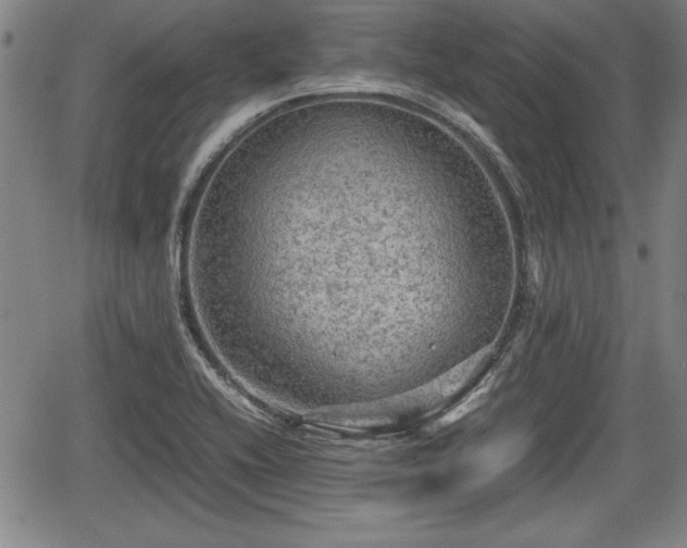 X0000067501416200604101219