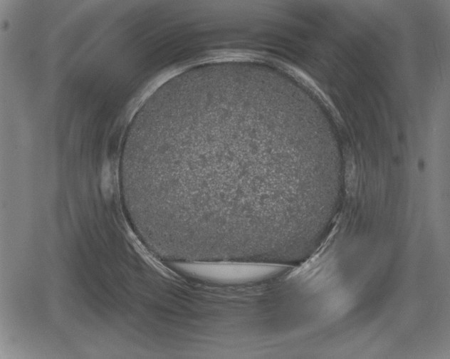 X0000067501417200604101219