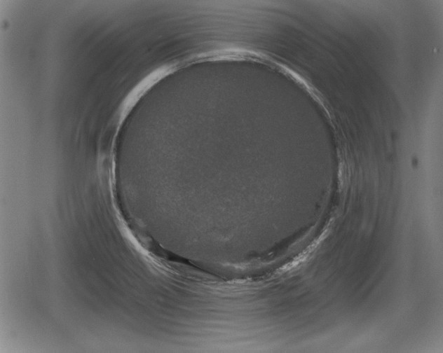 X0000067501418200604101219