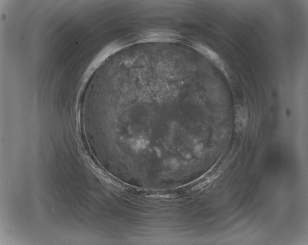 X0000067501419200604101219