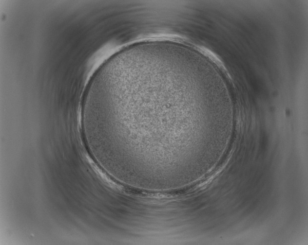 X0000067501420200604101219